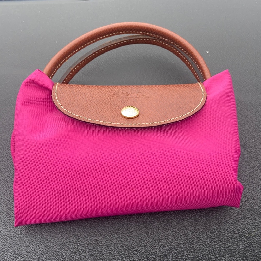 Small Longchamp bag
